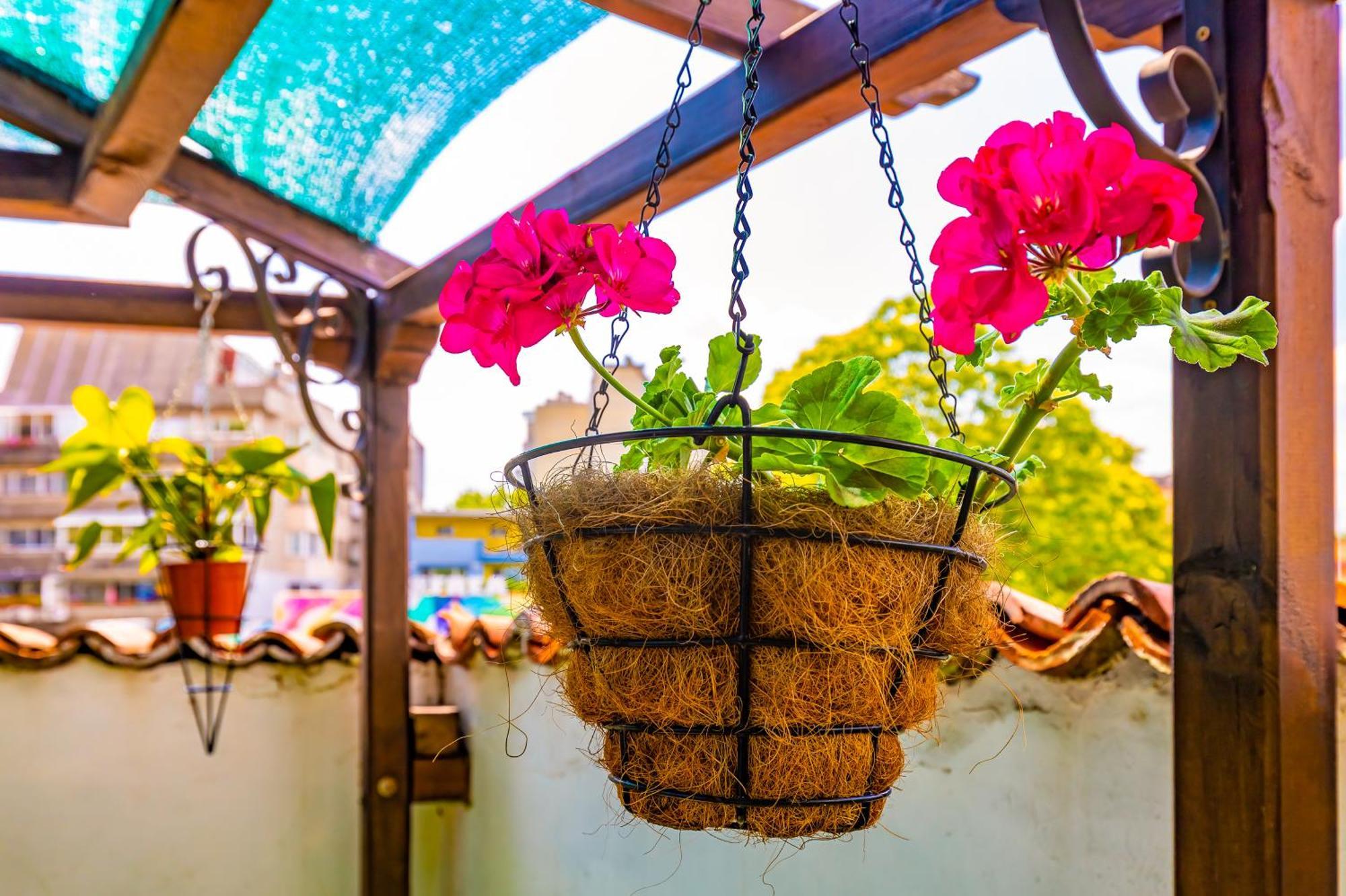 Tatil Evi Blacksmith's House - Old Town Filibe